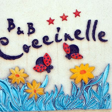 B&B Coccinelle Сан-Віто-Ло-Капо Екстер'єр фото